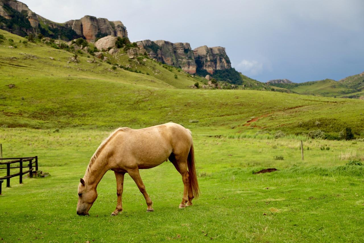 Greenfire Drakensberg Lodge Bonjaneni Exterior photo