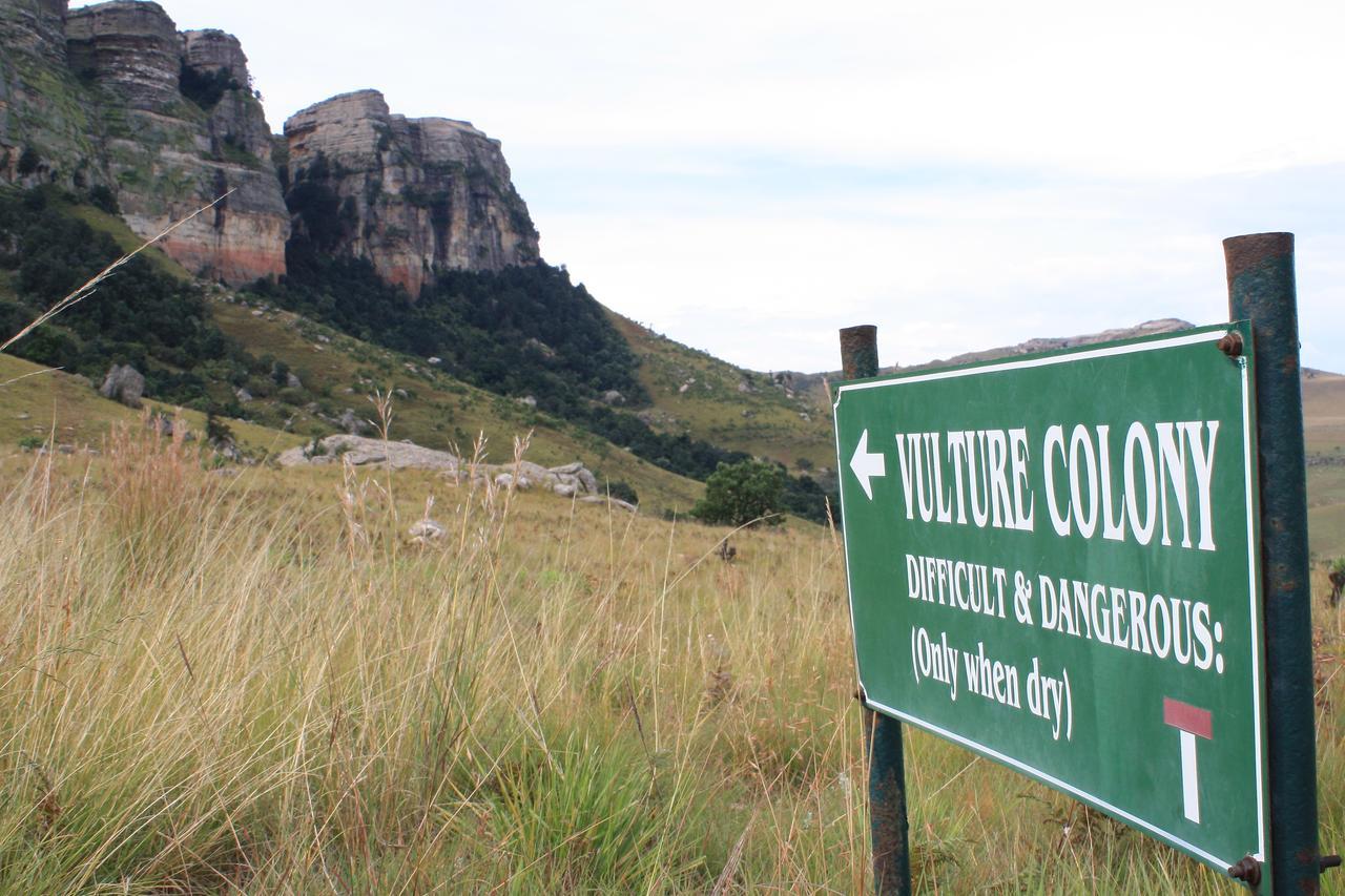 Greenfire Drakensberg Lodge Bonjaneni Exterior photo
